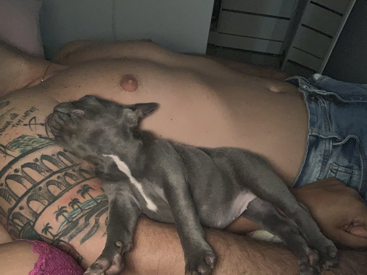 Resendenaval's tweet photo. Sextou com meu BB!!!🙏🏻❤️ https://t.co/Y3OQ9uu6LA