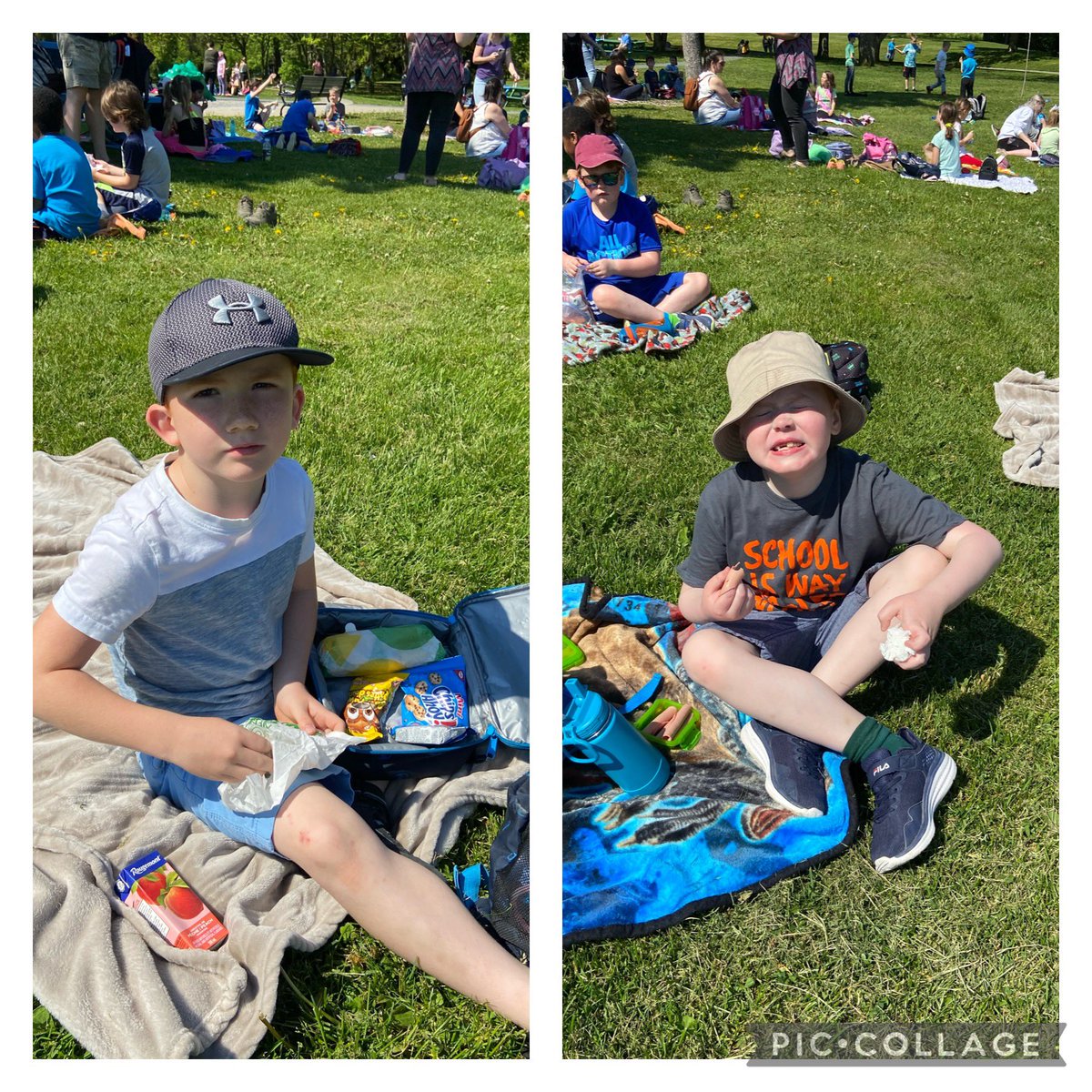 MrGreeleyGrade1's tweet photo. What a beautiful day for a Picnic in the Park! 🌞 🧺 🥪 🍎 @BowringPark @holyfamilyscho2 https://t.co/qQm4a4PJCo