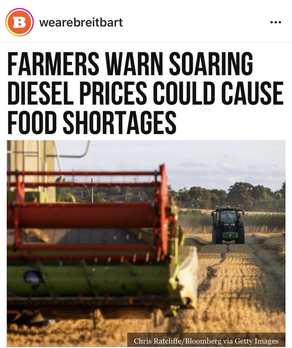 ImDeplorable16's tweet photo. #FoodShortage #JoeBidensAmerica #DumbAssJoe @youngdems thanks for voting for @JoeBiden https://t.co/nefJSUOvbo