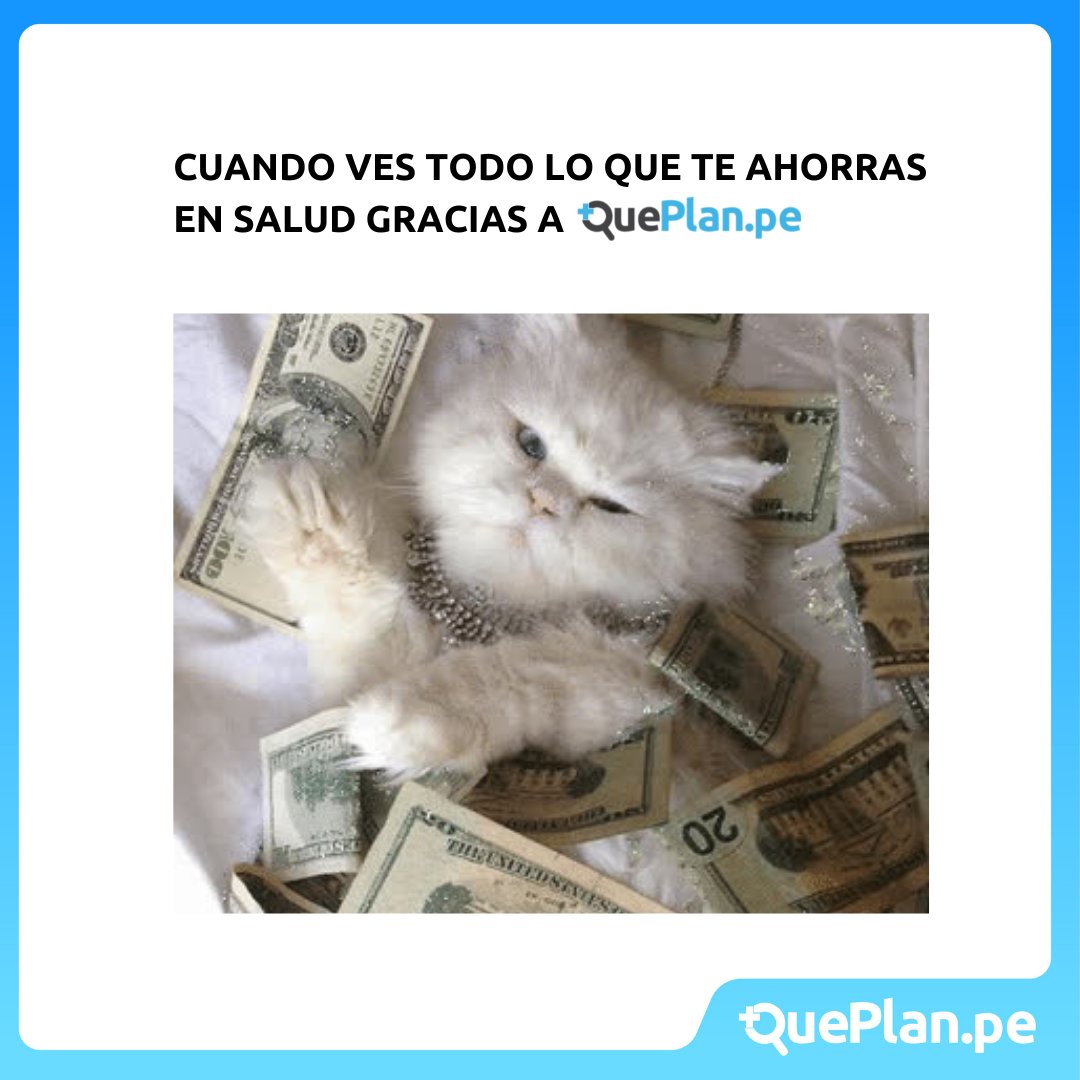 QuePlanPe's tweet photo. ¡Sé inteligente como él y ahórrate dinero adquiriendo un Seguro de Salud!😎

Haz clic aquí para ver todos los Planes que tenemos en https://t.co/GjsGWCjVC1🔎

https://t.co/PGJt7Qr5IE https://t.co/wXFsgtw5fQ