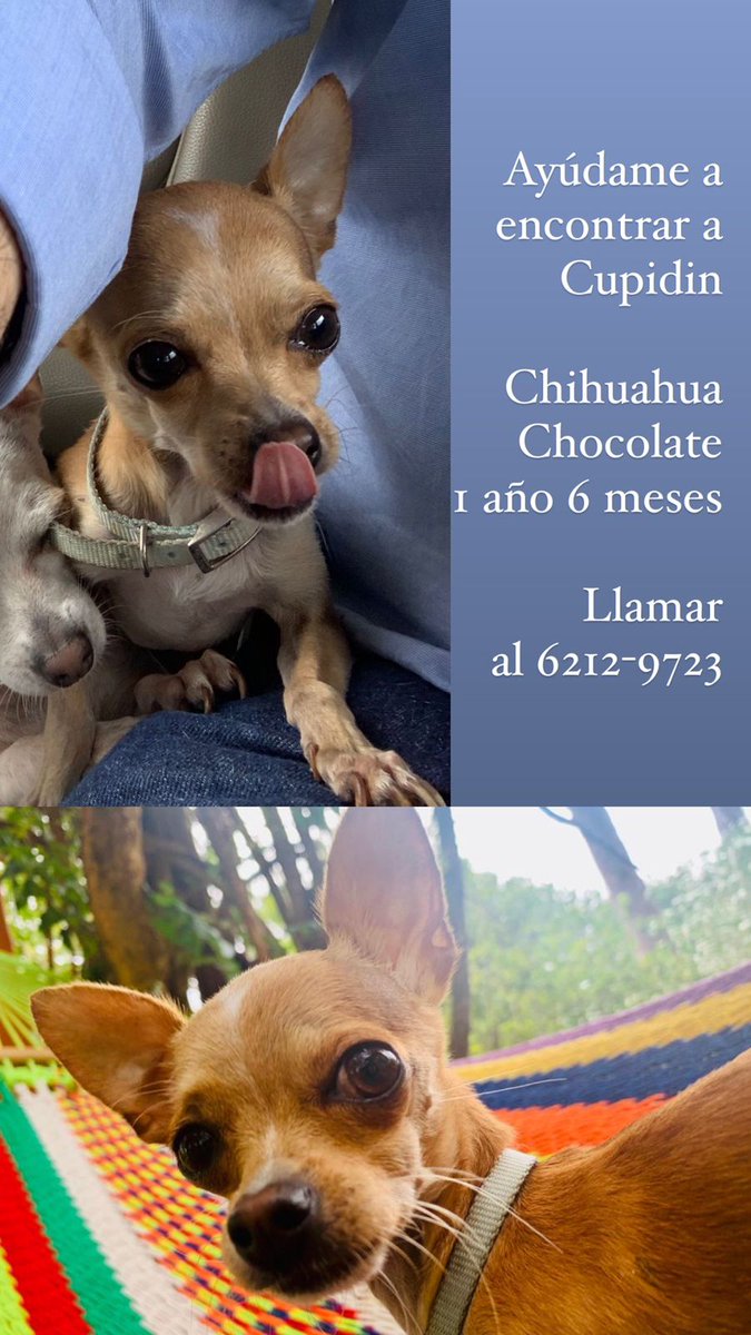 quinnannette's tweet photo. Se busca.... https://t.co/bHrAvyth2d