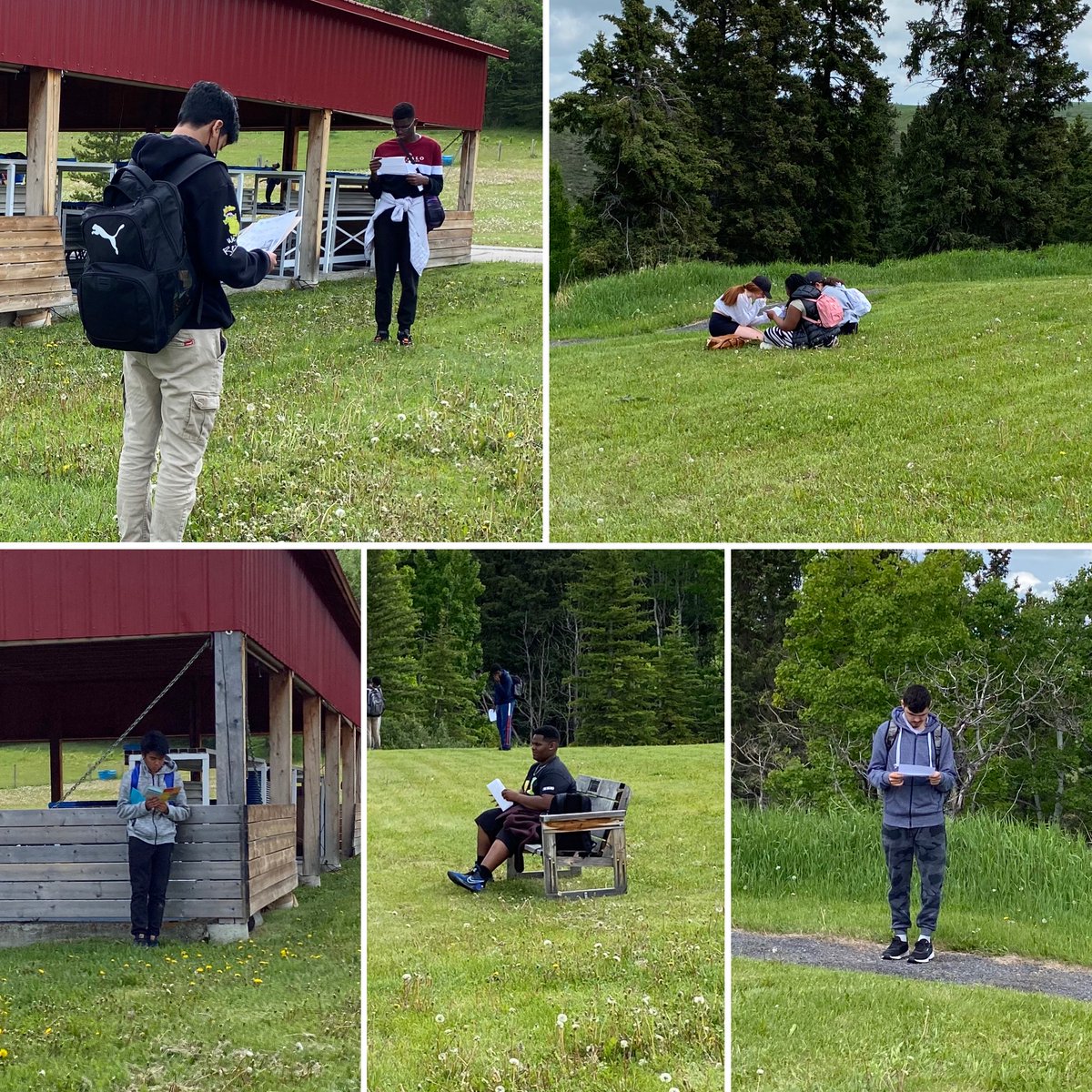 Our Lady of Grace tweet media