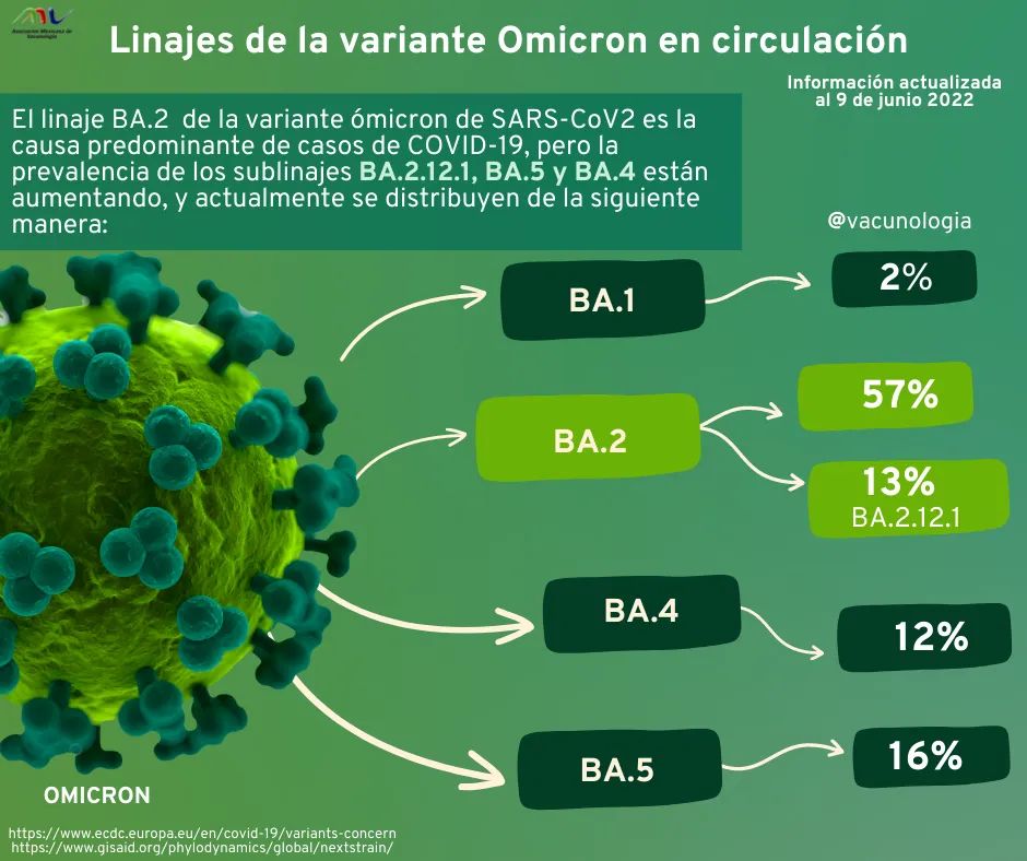 vacunologia's tweet photo. #Sabiasque la variante omicron del #virus #SARSCoV2 es la variante predominante actualmente y que el linaje BA.2 es el dominante seguido de los linajes BA.4 y BA.5 que ya están en  transmisión en la comunidad
#COVID_19 #covid #vacunologia #COVID19 #asociacionmexicanadevacunologia https://t.co/KeyXQgbPyI