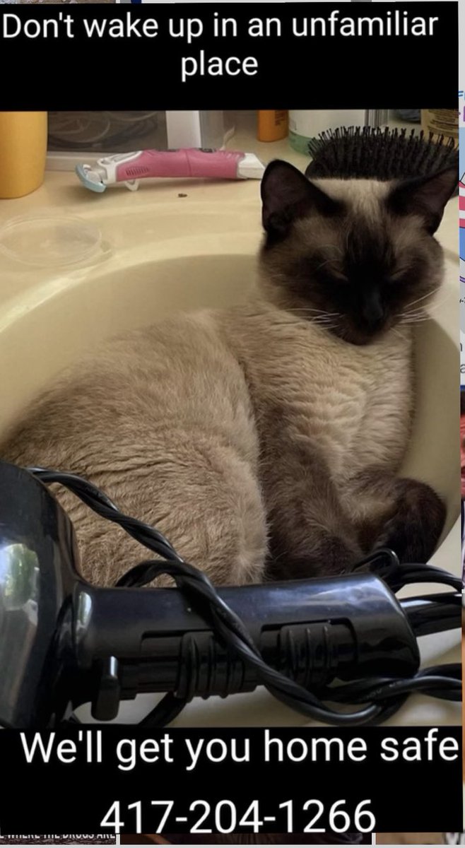 GopherIt22's tweet image. Heading to the bars for a fun Friday night? Let us take you there and then we can pick you back up at the end of the night! Stay safe and have FUN!

We also can deliver you anything if you feel like staying in tonight! 

Open 24/7! 417-204-1266