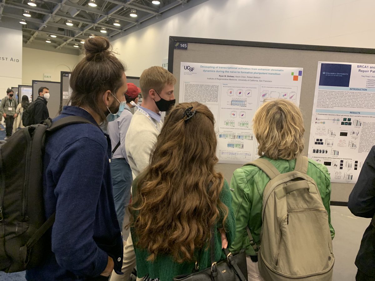 Robert Blelloch (@robertblelloch) on Twitter photo #ISSCR2022 Ryan Boileau’s poster pulls in the crowds. The crowd is asking “where will he post-doc?” <a href="/bffswithbiology/">Ryan Boileau</a> #ISSCR2022 Ryan Boileau’s poster pulls in the crowds. The crowd is asking “where will he post-doc?” <a href="/bffswithbiology/">Ryan Boileau</a>