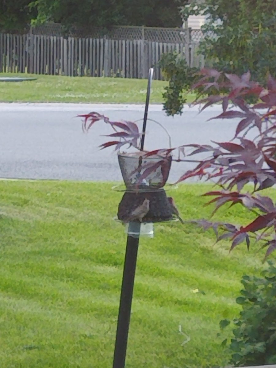 Ds22Singleton's tweet image. 