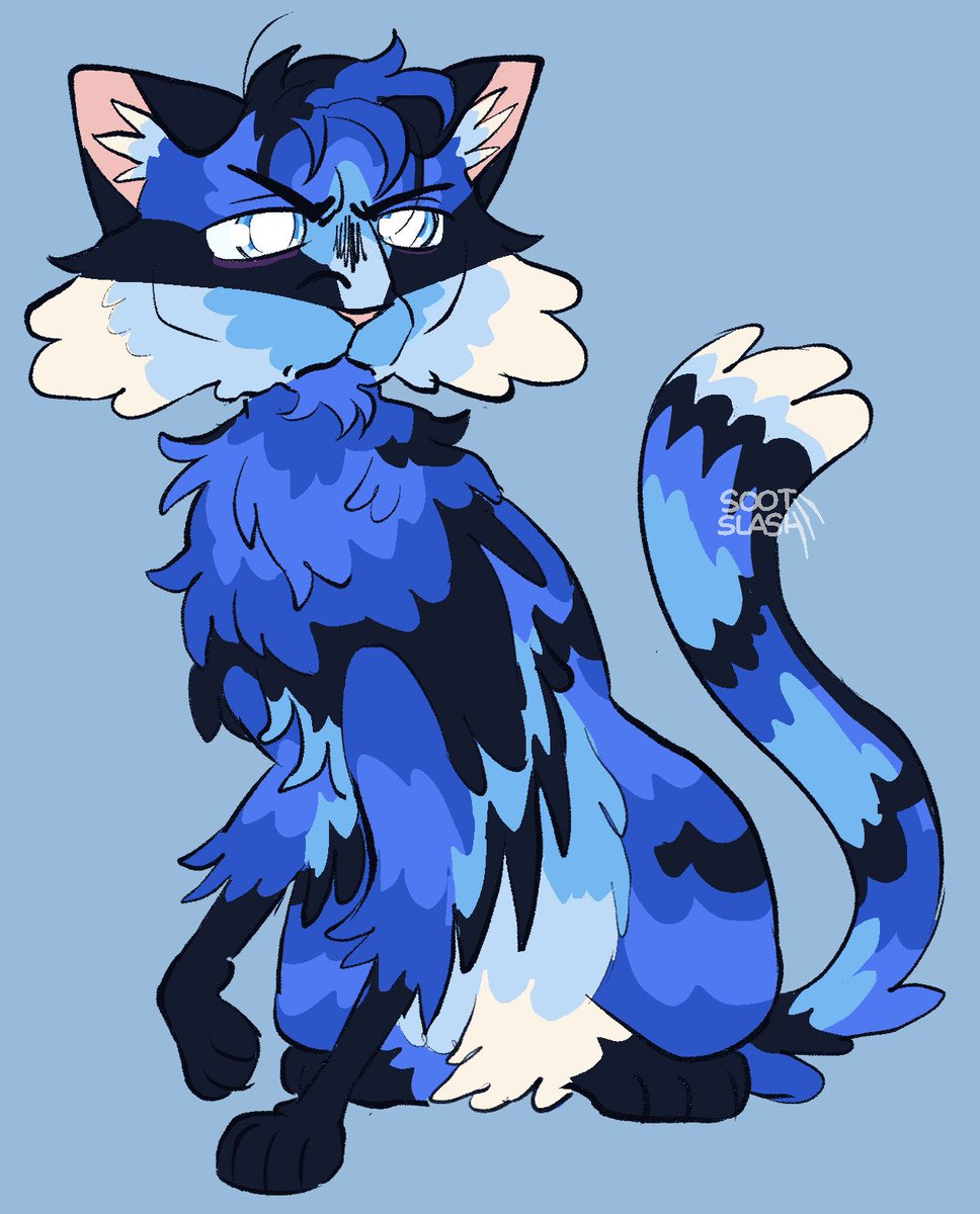 jayfeather except hes based off of a splendid fairywren 

#warriorcats