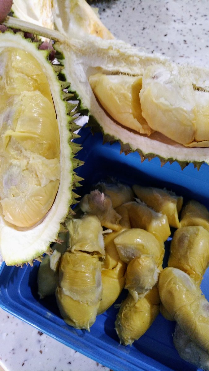 السَّلاَمُ عَلَيْكُمْ وَرَحْمَةُ اللهِ

<a href="/AjaxbroBro/">ajaxBro-xii sgt benci pada DAP dan lebai iblis</a> <a href="/AimanAirin2/">NegaraKuTanahAir 🇲🇾</a> pagi pagi org dr Sauk udah nganto...baru luruh kate deme <a href="/amran1817/">mAMran</a>