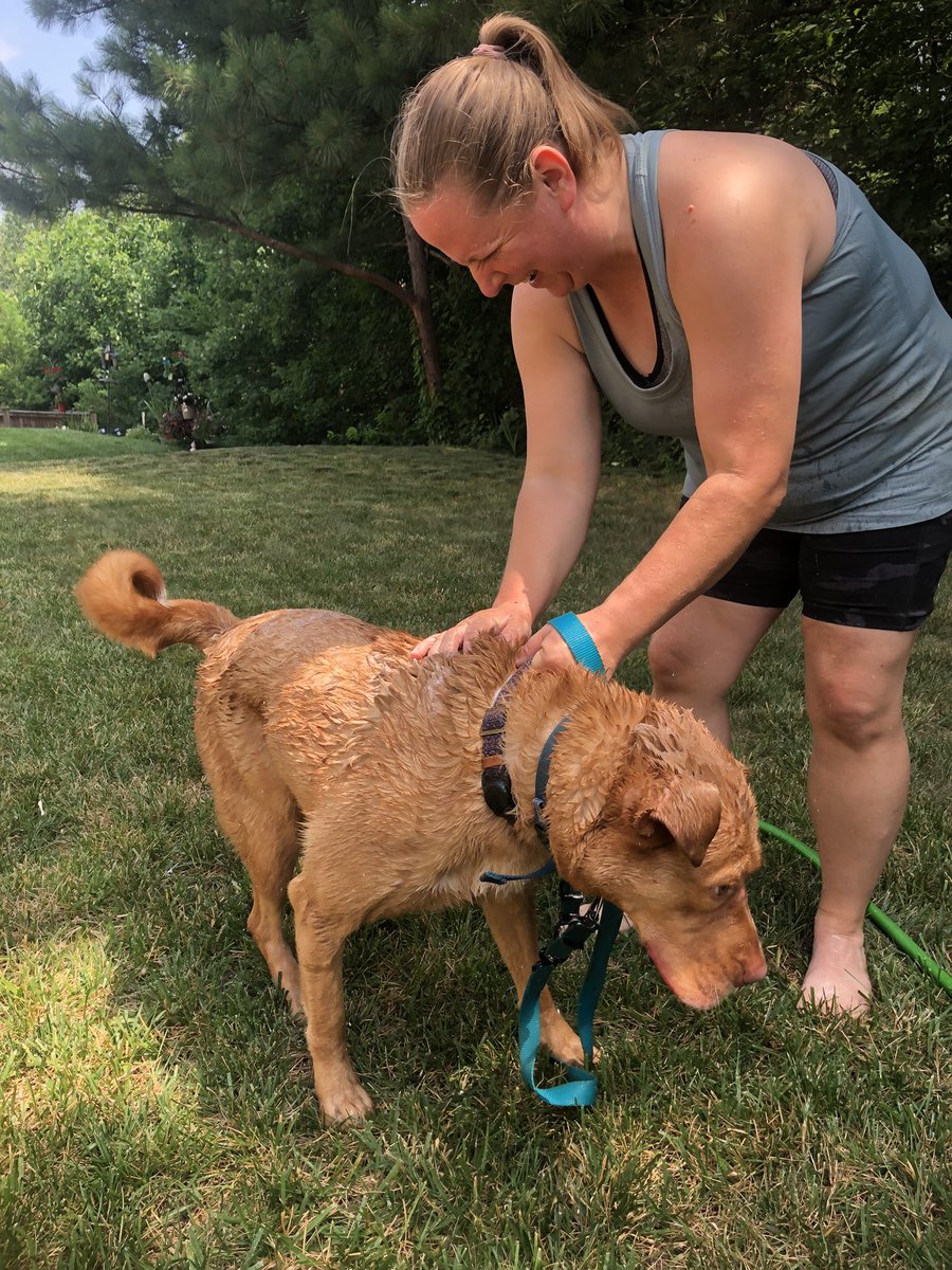 foobie02's tweet photo. @TheRealHoarse Hiking with my dog and my daughter Sunday morning.  Rocky loved the creek!  We gave him a bath when we got home.  Pooped puppy so we went shopping.  Hanging out with your grown children is like seeing the best of yourself reimagined! https://t.co/Be6ijpFsOj