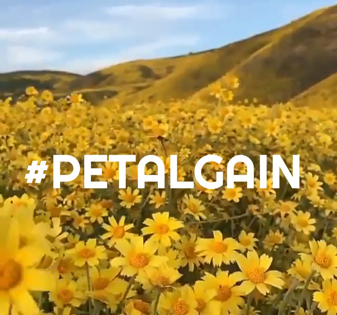 @siogo61 (@siogo61) on Twitter photo #PETALGAIN
<a href="/swydersk/">Deb #TmPetaL🌹#Resist💙 #NeverTrump Enjoy the ride</a>
<a href="/Spencerjames211/">Spencer James #GAINWITHPETAL #TMPETAL #Teamspirit</a>
@luisalarosa
<a href="/R3_Adv/">JarodKOPI🇮🇩</a> <a href="/r95731/">💓 s a R a v 💓 🇮🇳मेरा भारत महान🇮🇳 🥰100 K+🥰</a>
<a href="/metalifb/">🔊 IFB METAL™🤘FOLLOW HELP METALHEADS</a>
<a href="/moni_dollnature/">🌸 Mónica 🌸</a>
<a href="/Diane1Queen/">🌹Diane🌹</a>
<a href="/SergioA60798547/">Sergio</a>
<a href="/Siogo61/">@siogo61</a>
<a href="/mvf7186/">#TmSofia</a>
<a href="/ginestarros/">SuperGina♥️💚♥️</a>
<a href="/HORGLAERT/">HORGLAERT</a>
<a href="/MarianLuque4/">@MarianLuque</a>
<a href="/kittymayo7101/">#BossLady 👑</a>
<a href="/MarthaCandia21/">🌼MARTHA CAN🌼</a>
<a href="/ranasilvia63/">Luna OM</a>
<a href="/glenton123/">Mark Glenton/ Mindfrontiers🤵🧐</a>
@GRAHAM15583070
<a href="/Luisa1Queen/">.•° ✿ °•. LuisaElena ꧂🌹</a>
<a href="/lumpie125/">lumpie125</a> #PETALGAIN
<a href="/swydersk/">Deb #TmPetaL🌹#Resist💙 #NeverTrump Enjoy the ride</a>
<a href="/Spencerjames211/">Spencer James #GAINWITHPETAL #TMPETAL #Teamspirit</a>
@luisalarosa
<a href="/R3_Adv/">JarodKOPI🇮🇩</a> <a href="/r95731/">💓 s a R a v 💓 🇮🇳मेरा भारत महान🇮🇳 🥰100 K+🥰</a>
<a href="/metalifb/">🔊 IFB METAL™🤘FOLLOW HELP METALHEADS</a>
<a href="/moni_dollnature/">🌸 Mónica 🌸</a>
<a href="/Diane1Queen/">🌹Diane🌹</a>
<a href="/SergioA60798547/">Sergio</a>
<a href="/Siogo61/">@siogo61</a>
<a href="/mvf7186/">#TmSofia</a>
<a href="/ginestarros/">SuperGina♥️💚♥️</a>
<a href="/HORGLAERT/">HORGLAERT</a>
<a href="/MarianLuque4/">@MarianLuque</a>
<a href="/kittymayo7101/">#BossLady 👑</a>
<a href="/MarthaCandia21/">🌼MARTHA CAN🌼</a>
<a href="/ranasilvia63/">Luna OM</a>
<a href="/glenton123/">Mark Glenton/ Mindfrontiers🤵🧐</a>
@GRAHAM15583070
<a href="/Luisa1Queen/">.•° ✿ °•. LuisaElena ꧂🌹</a>
<a href="/lumpie125/">lumpie125</a>