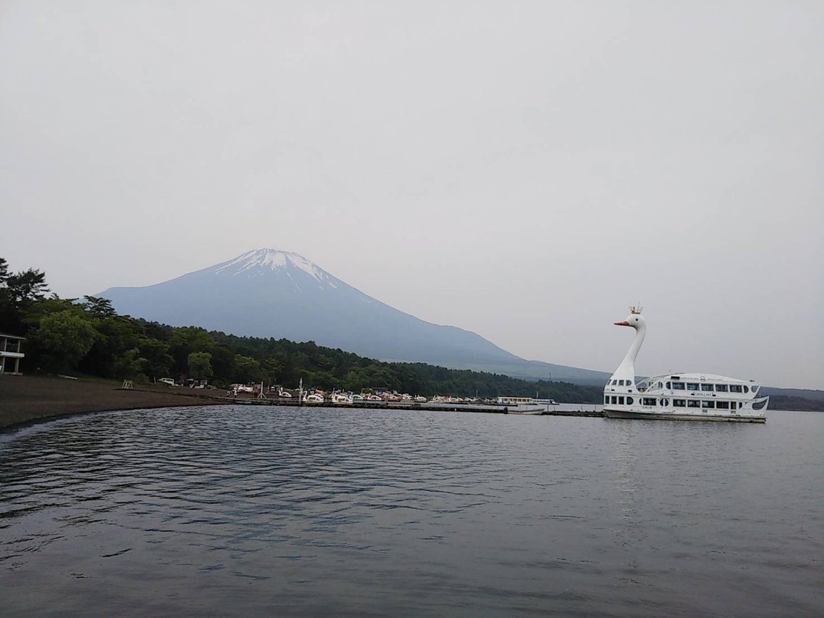 おはくちょうございます🦢 今日はガスガスガスー。