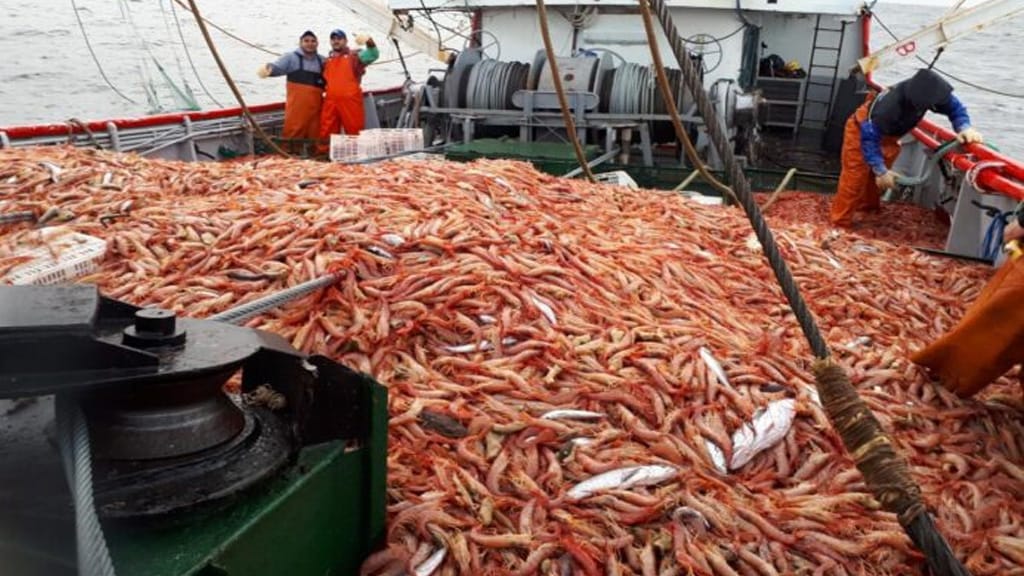 puertomdpok's tweet photo. El Puerto de #MardelPlata acompaña a las cámaras y a toda la industria pesquera local que encuentra dificultades para operar y trasladar la carga desde puertos de la provincia de Chubut. 
Allí se producen bloqueos a camiones que transportan merluza y fundamentalmente #langostino. https://t.co/qRG4uAMALq