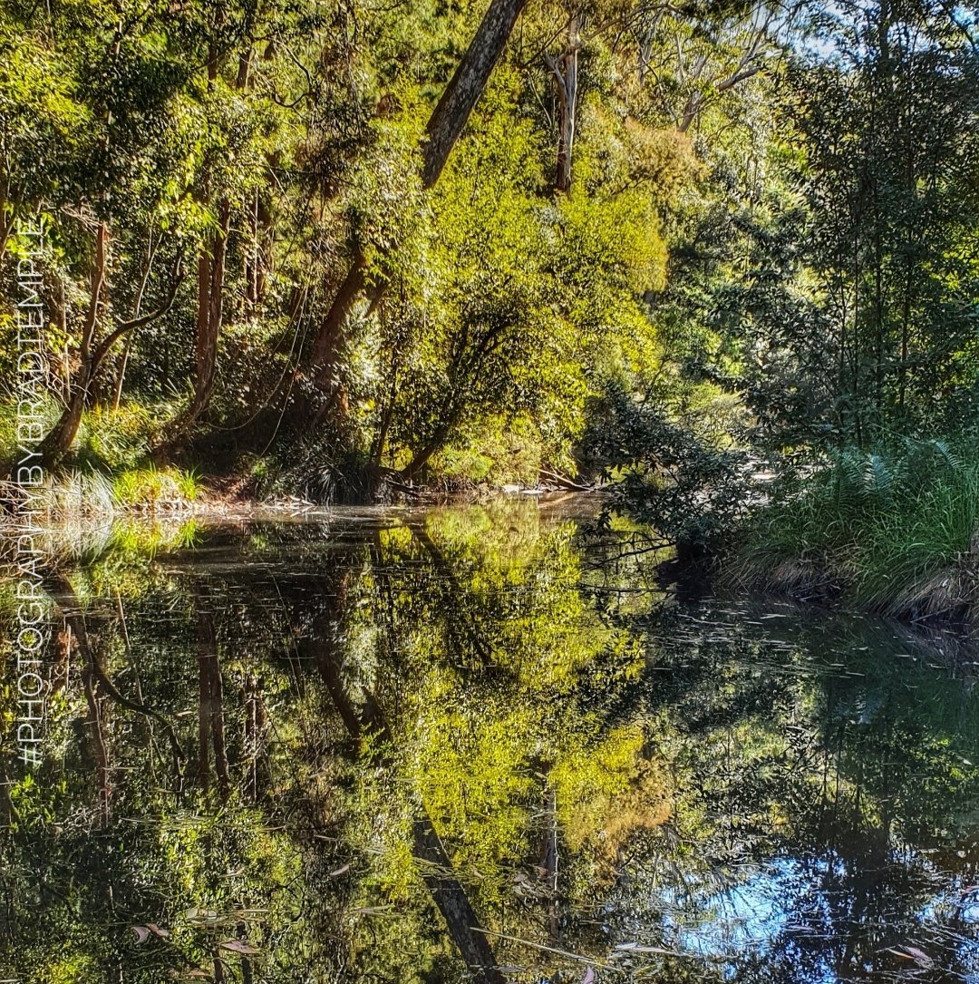 BradTemple3's tweet photo. Minyon Falls, NSW, Australia 
#photographybybradtemple #photographer #travelphotography #adventurephotography #australiaphotography 
Come, See, Smile, Stay A While...
The Land Of Wonder, The Land Downunder...#australia 
#tourismaustralia #visitnsw #explorensw #tourismau https://t.co/Dg47rEVIxe