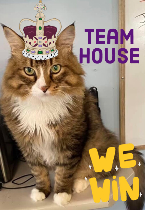 The Amazing Raise 2022 is finished and look what team won. There total was…. (imaginary drum roll happening ) $39,220.  

In the end all the SAINTS are winners because the total was an astounding $89,070.

#saintsrescue #petfundr #fundrazr #communitygiving