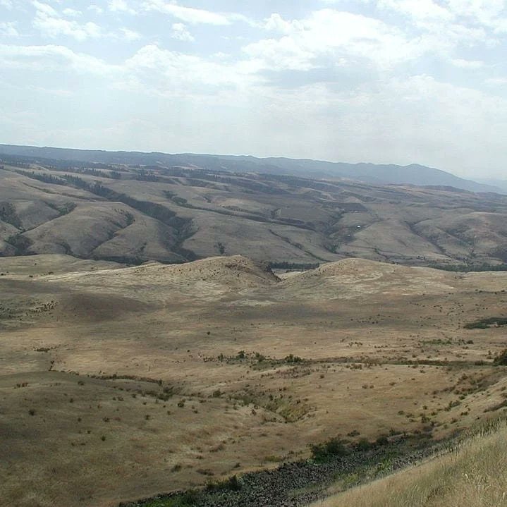 ZmmQuality's tweet photo. The Battle of #WhiteBirdCanyon took place June 17, 1877, a decisive victory for the defending #NezPerce against the attacking #USCavalry, was the start of the #NezPerceWar. The narrator in #ZenandtheArtofMotorcycleMaintenance rides through the canyon in Ch. 24 & 25.
#otd #tdih https://t.co/HYeQEiKCWK