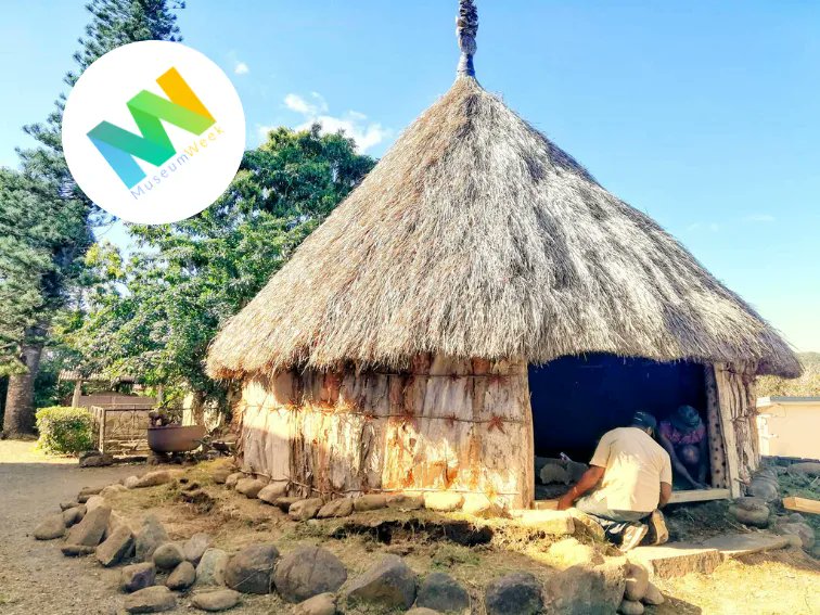 ✨ 6ème journée 
 #leçoonsdeviemw 
Sur à la construction de la case du musée de Bourail par l'Association XWAKWARE de la région de La Foa  et l'Association XE CHARA de Canala.
@Amepnc <a href="/MuseumWeek/">ᴍᴜsᴇᴜᴍᴡᴇᴇᴋ 🏛</a>
 #LeçonsDeViemw  #museumweek2022 #newcaledonia #TeamNC  #amepnc