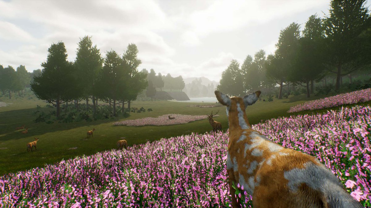 DeerJourney's tweet photo. Hello All! It is #ScreenshotSaturday, Enjoy some screenshots from Deer Journey. Like💗 and share♻, comment🗭 your favourite game as well.
Wishlist here - https://t.co/gGEqKuTv4s
#IndieGameDeveloper #gamingcommunity #JourneyToThePast #simxperinece #food https://t.co/xJOqqBD2WW