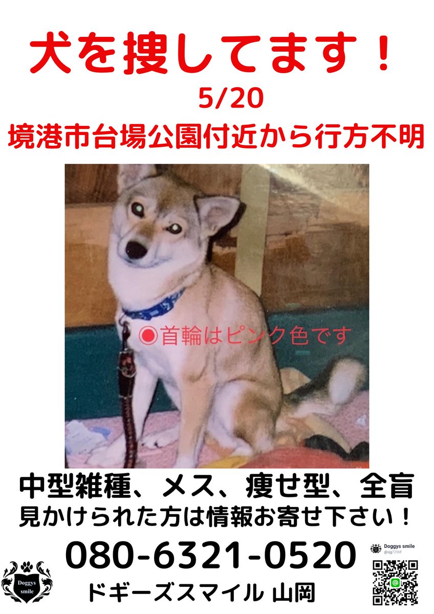 タグ 中型雑種犬 の注目ツイート メガとんトラック タグ 中型雑種犬 の注目ツイート メガとんトラック