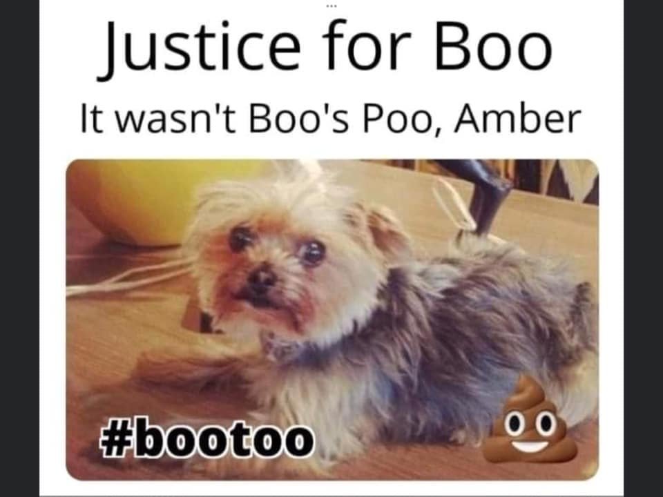 Nonda_35's tweet photo. @redlianak I just thought this was too cute #Bootoo https://t.co/00TlNAFEoF