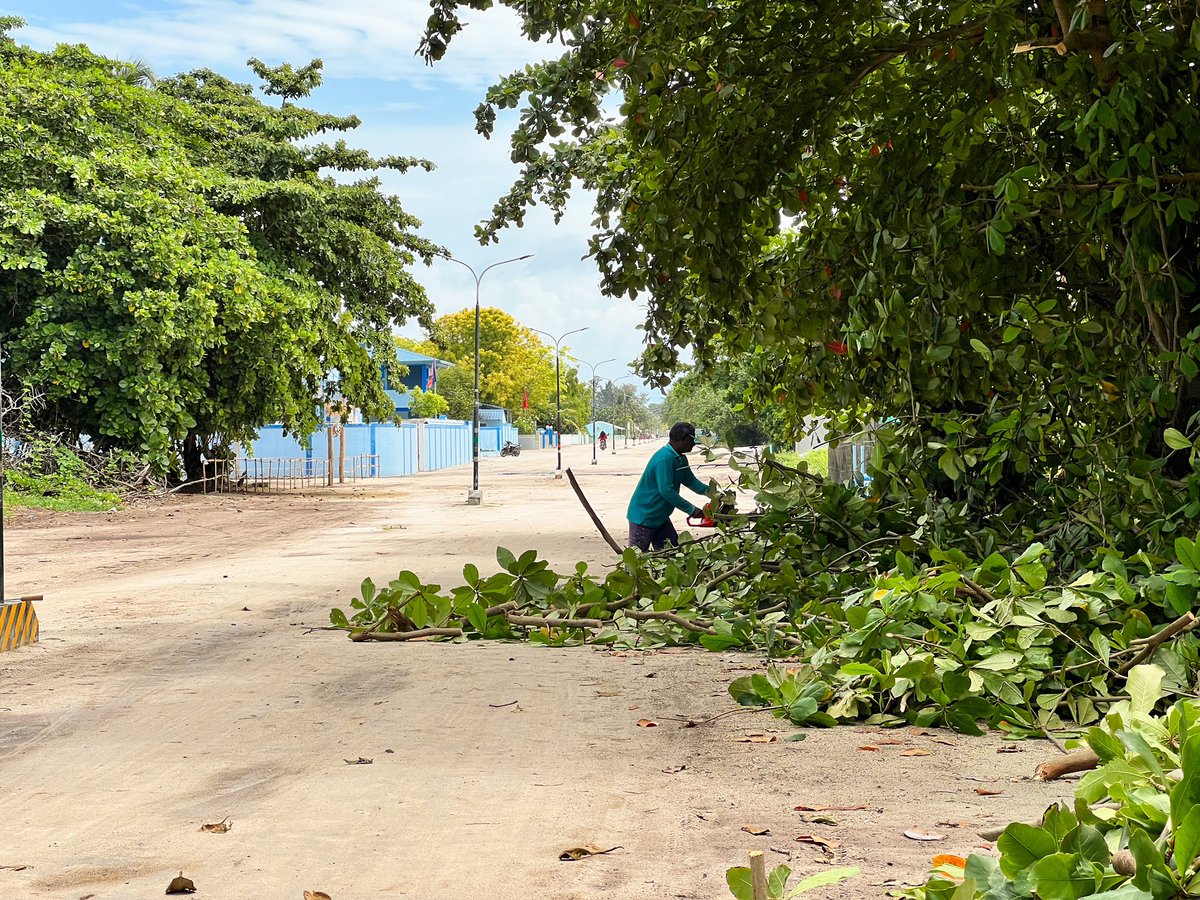 KK_Council's tweet photo. ކައުންސިލުގެ  މުނިސިޕަލް  ޓީމުން  ނުކުމެ ރަށުގެ  މަގަށް  ވާ  ގޮތަށް  10 ft  ތިރިއަށް   ހުރި  ގަސްތަށް  ކޮށާ  ސާފުކުރުން  ފެށިގެން  ކުރިއަށް...

#themangroveisland https://t.co/aFG0bRPUPl