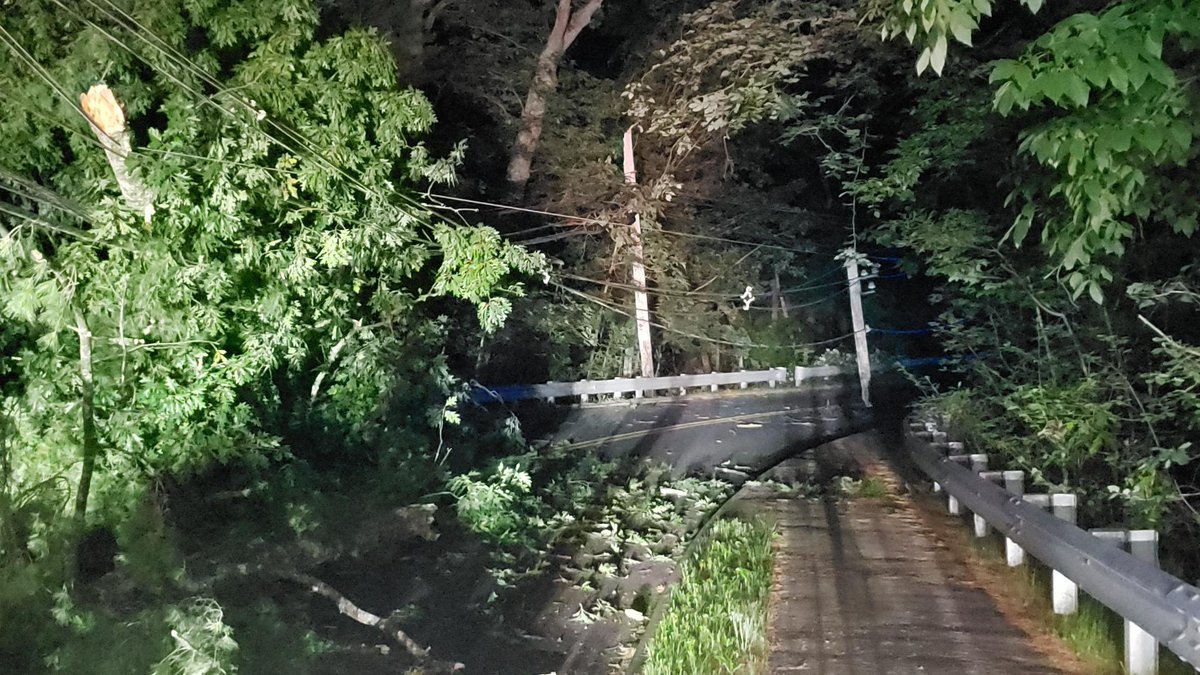 Concord Rd by College Pond is Closed due to a large tree that has fallen and taken down wires and telephone poles, you can reach up to 269 from Weston Center all numbers higher and Sudbury Rd you must come from Wayland or Lincoln #MATraffic