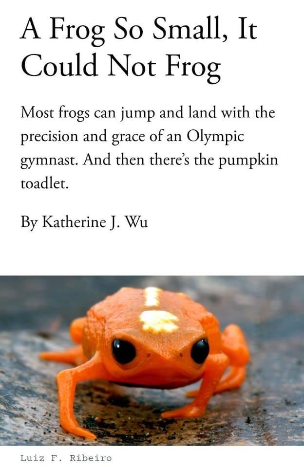 looselystrungup's tweet image. This poor creature :::: ( isn't even able to jump right.