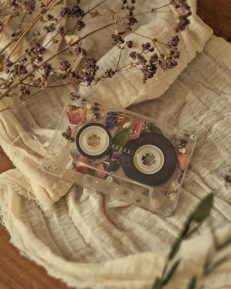Rodriguez062124's tweet photo. ¿ Cuál es su canción favorita ? 🎶 https://t.co/ntVk9KChKs