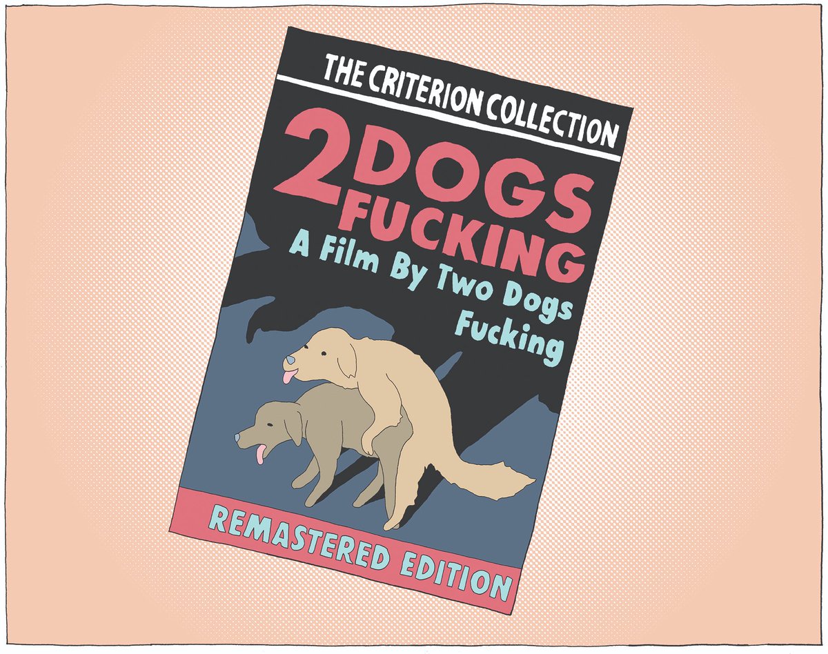 Criterion Collection edition of 2 DOGS FUCKING
