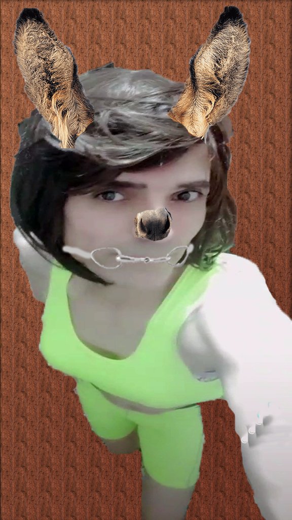 oLguN KöLe (@olgunkole) on Twitter photo 