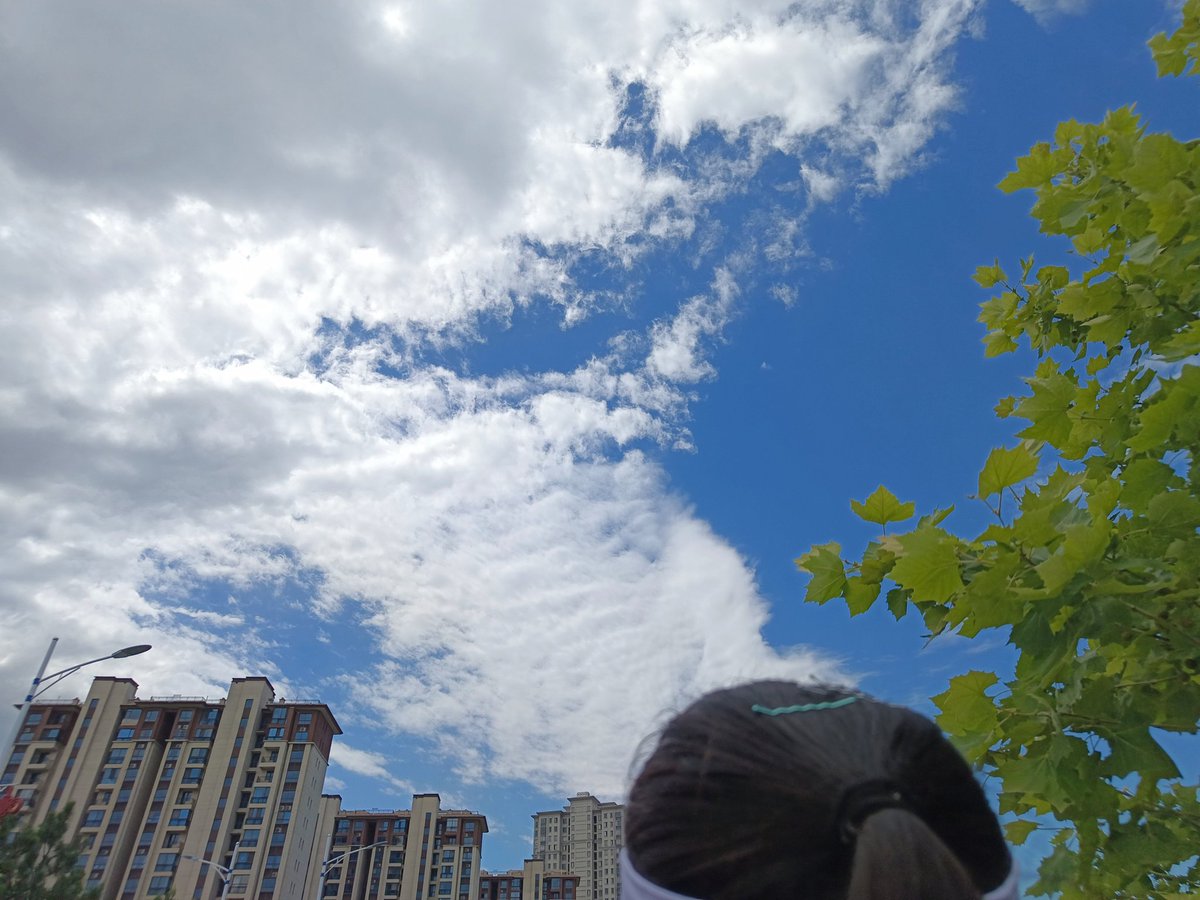 DivinityZzy's tweet photo. 在一个好天气里出去浪鸭 https://t.co/oPOmJzebKd