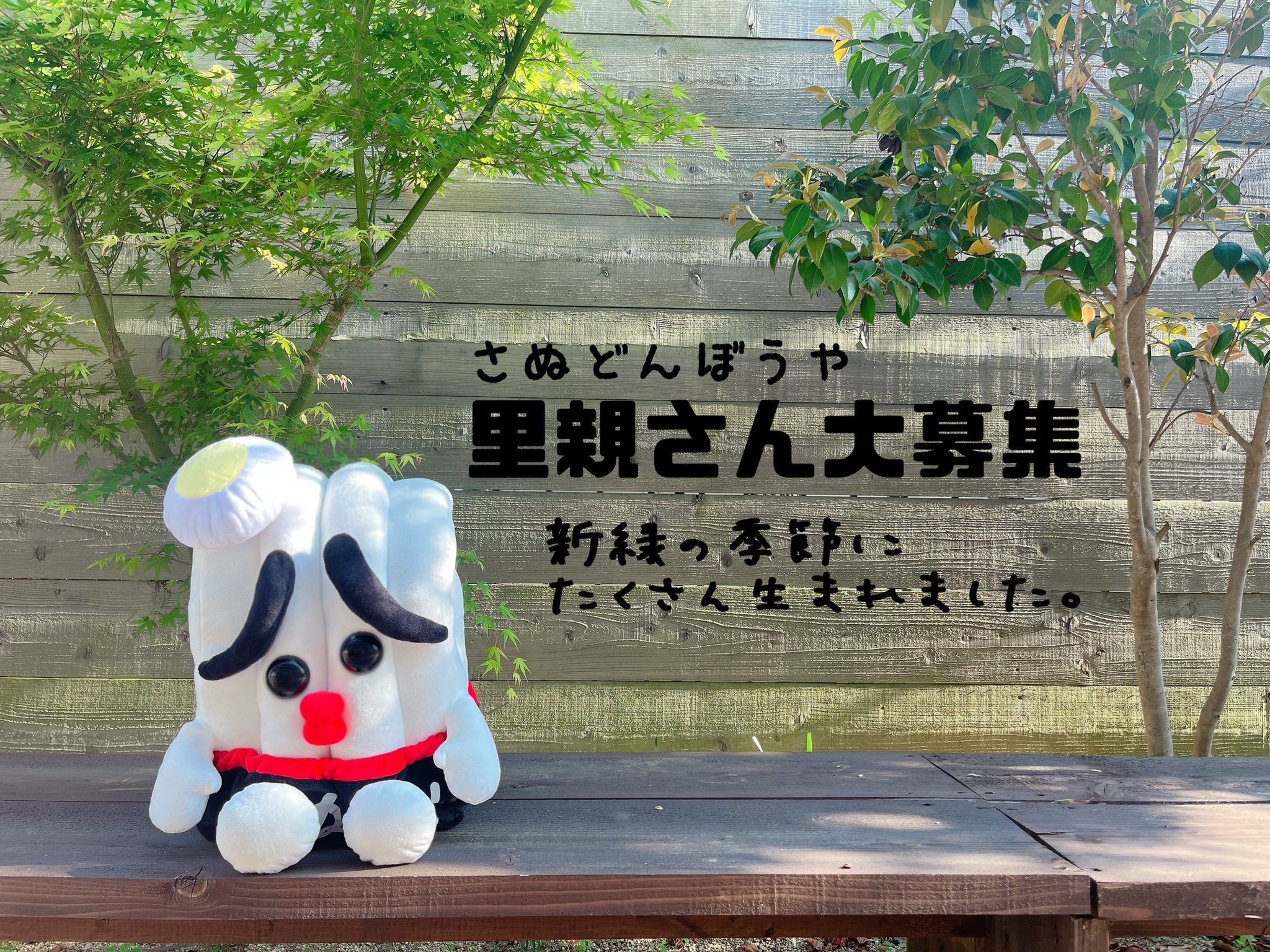 うどんの妖精 さぬどん 公式 さぬどんぼうや里親さん大募集中 お箱に入ってとことこやってくるにょ まだまだかわいいぼうやがたくさんいます お申し込みはtwitterdmまたはofficesanudon Gmail Comまでご連絡をちょんまげ るｻﾝにょ