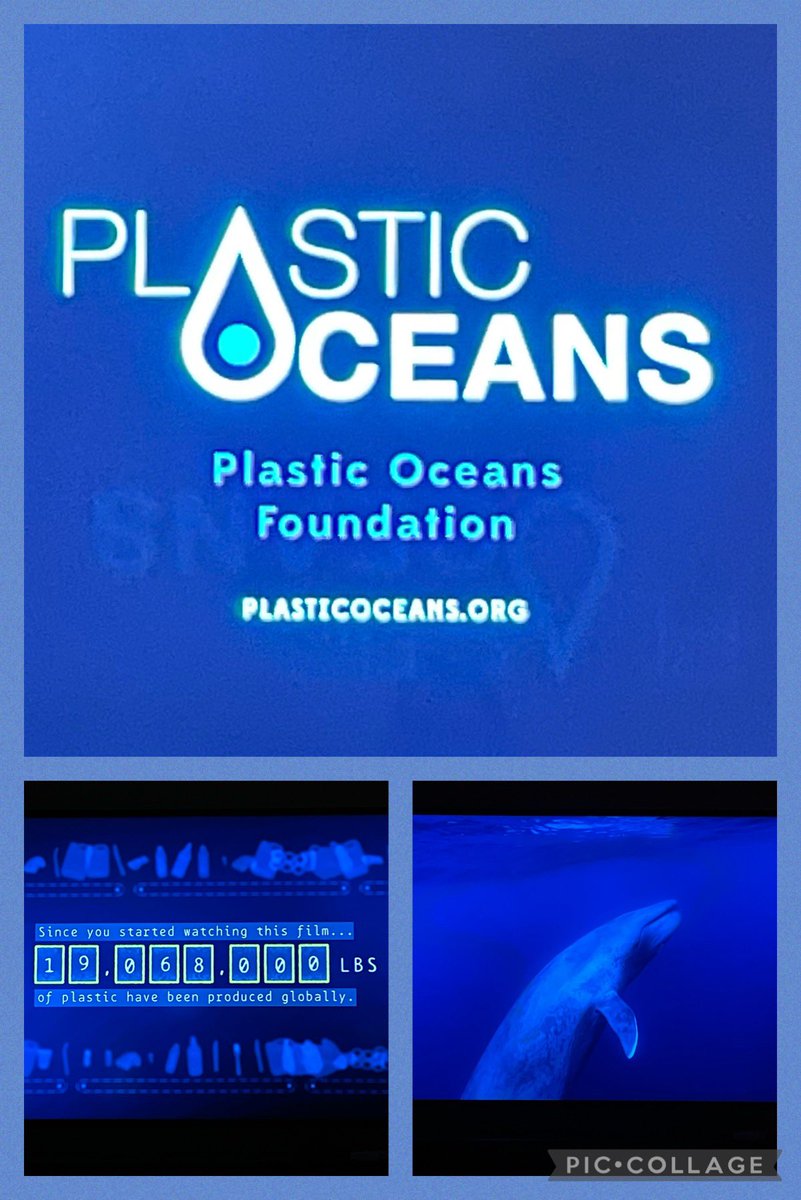 #virtualmoviemeetup #Peakecofest <a href="/PeakersSave/">Peakers Save The Planet</a> #peakersatthemovies <a href="/FilmBuffPeakers/">Film Buff Peakers</a> <a href="/MyPeakChallenge/">My Peak Challenge</a>