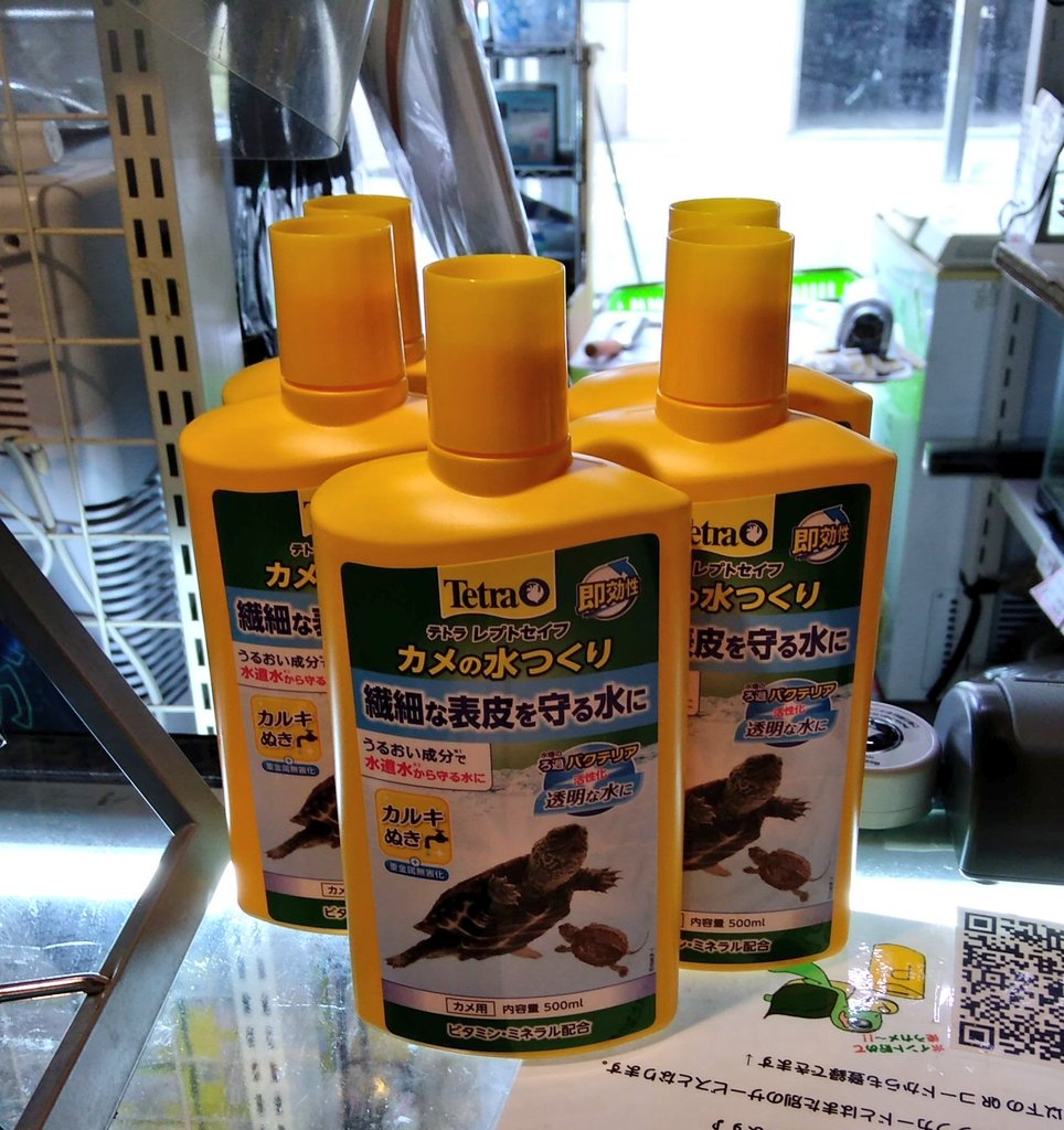 529円 人気アイテム テトラ レプトセイフ カメの水つくり 500ml 水質調整剤 アクアリウム かめ 亀 粘膜保護 529円 人気アイテム テトラ レプトセイフ カメの水つくり 500ml 水質調整剤 アクアリウム かめ 亀 粘膜保護