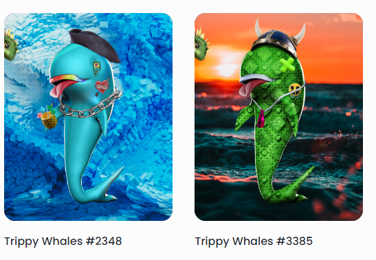 @Xwhales21 
Love, Love my new Trippy Whales!