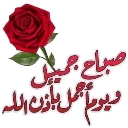 قرآن (@rum26arum) on Twitter photo 