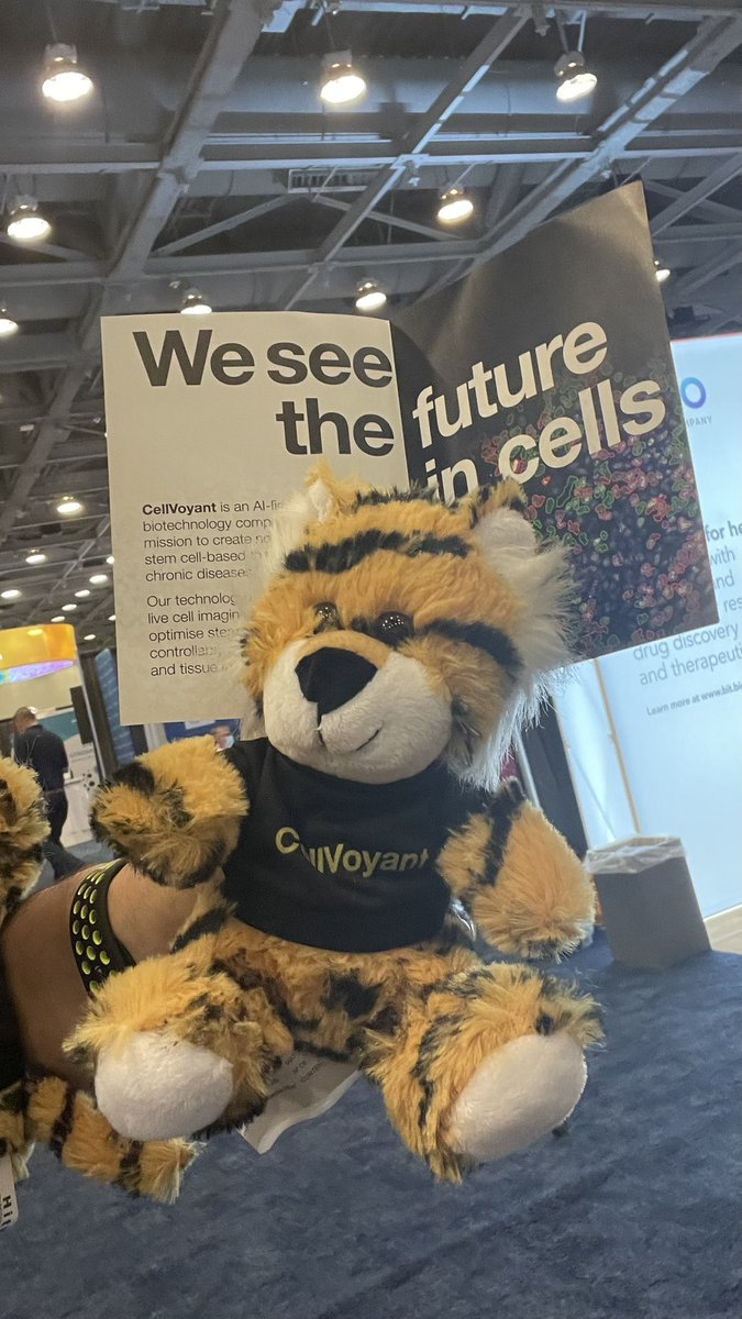 The #ISSCR2022 exhibitor booths and kiosks are closed now but <a href="/cellvoyant/">cellvoyant</a>  is still in town for the <a href="/ISSCR/">ISSCR</a> meeting on Sat+Sun! We’re recruiting across 5 roles. Interested? Ping us+come see us we’d love to meet you!

#AI #hPSCs #live #microscopy #machinelearning #ml #datascience