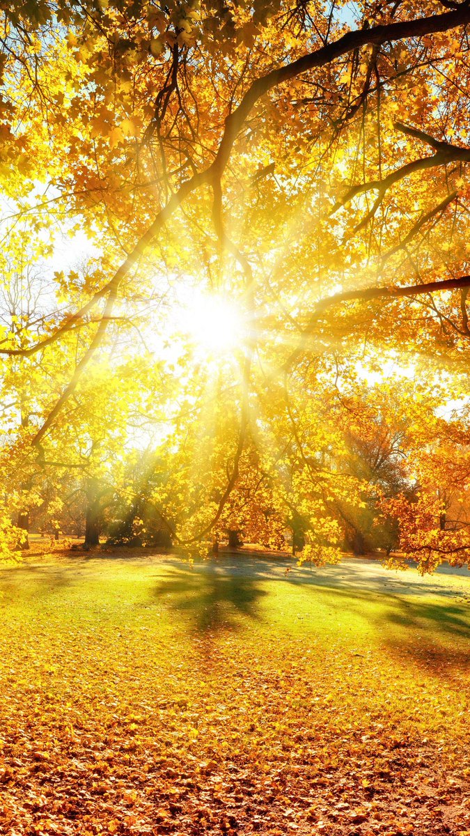 Good morning and happy Saturday everyone, it's a very warm morning here, 🌩️🌧️ at some point today which should cool things down. On the way to work now, have a beautiful day everyone. 🙏❤️