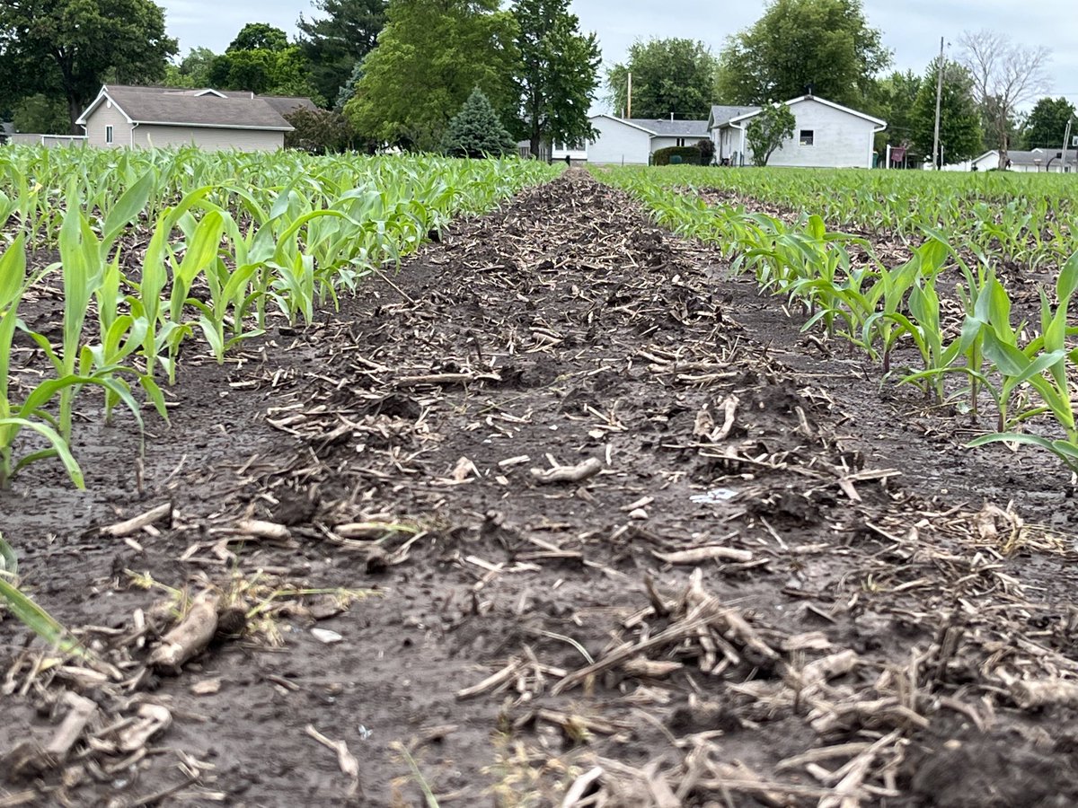 Frontline Genetics tweet media