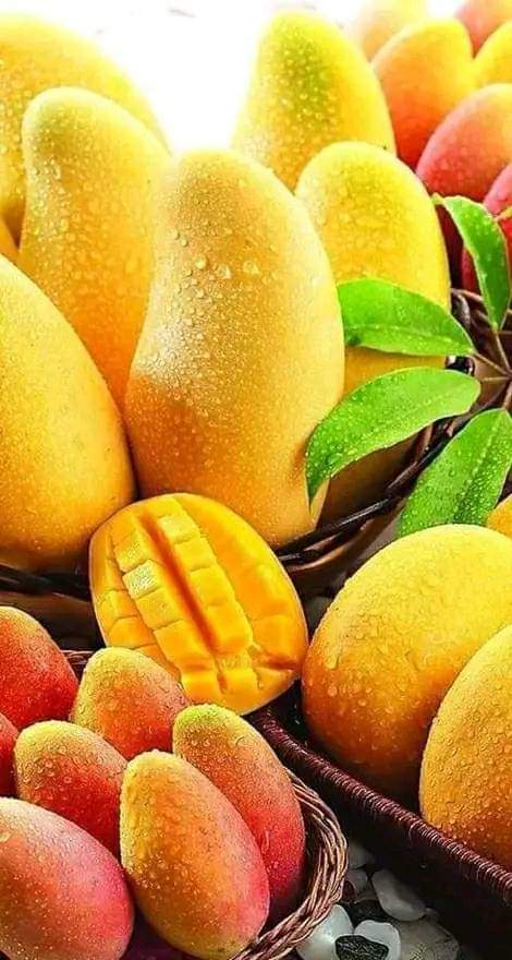 AtWsfat's tweet photo. هوا المانجو ماطلعتش لحد دلوقتي ليه https://t.co/Jzd197lpYi