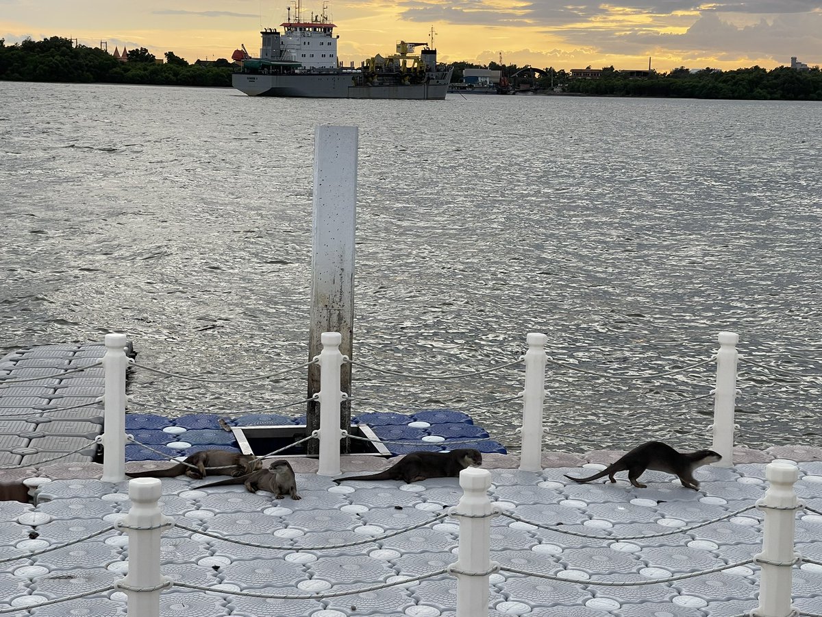 fofy125's tweet image. แวะมาทักทายน้องๆกันได้นะคะ☺️