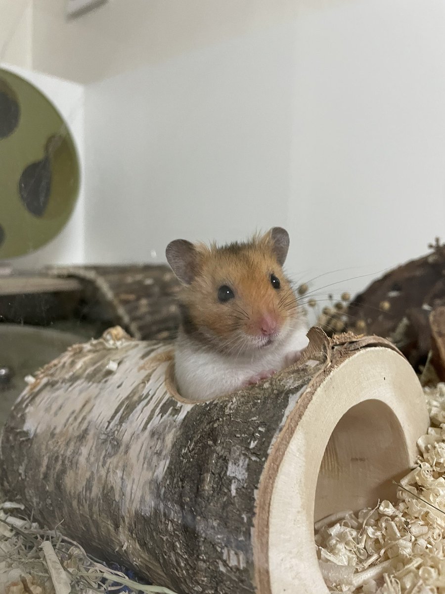 오픈카 한대 뽑앗어요