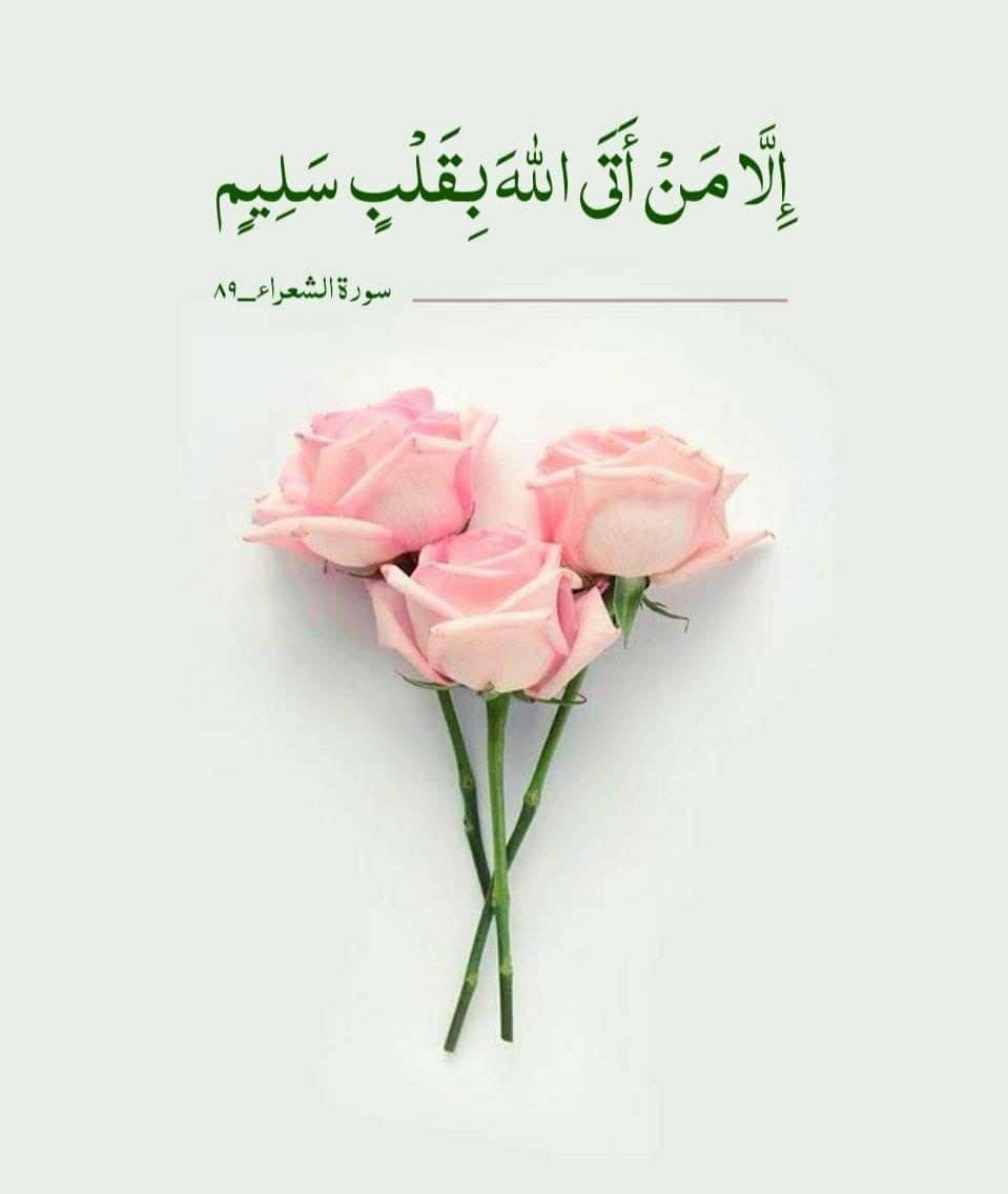 ف͒ہٰٰدُڪٰྀہٰٰٖ آلژھہرٰآء〞𓆪 #بصرتي tweet media
