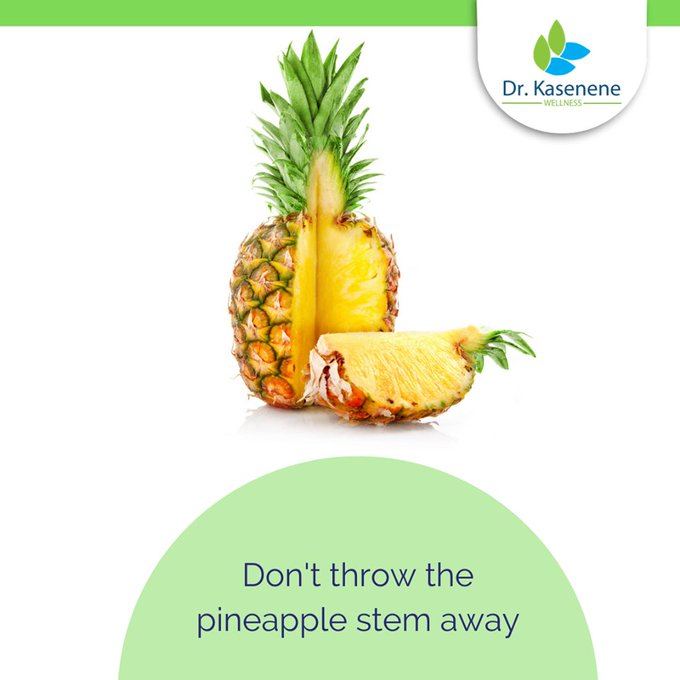 drkasenene's tweet image. The pineapple stem is rich in the enzyme Bromelain that's a known painkiller and a good anti-inflammatory compound. Its especially good for #arthritis, #asthma &amp;amp; #allergies. Eat and use the pineapple stem often. 

Don't throw it away #healthtip