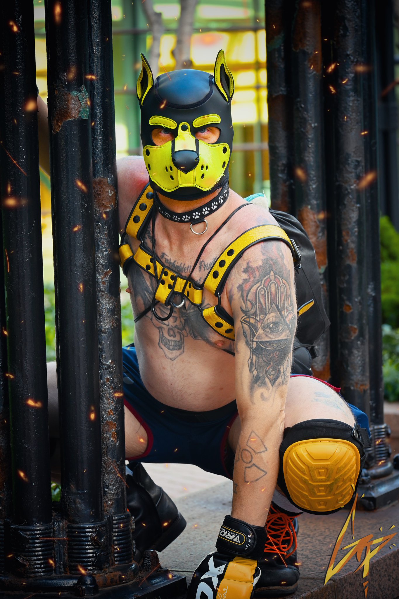 #humanpup #fetish https://t.co/Wh7SIpJMSj