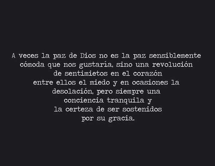 🤍 tweet media