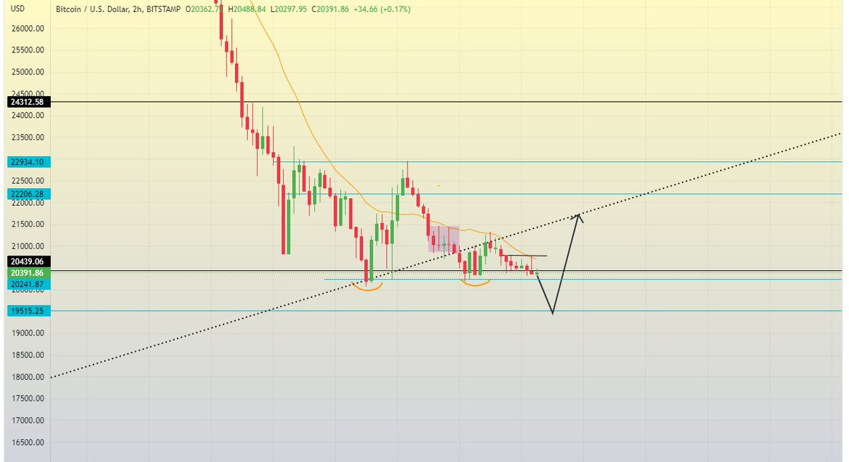 VeLLa Crypto tweet media