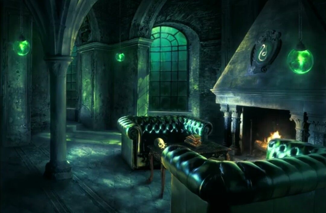 🐍Our Slytherin Common Room🐍

So Amazing, literally the best common in Hogwarts💚🖤

#Slytherin