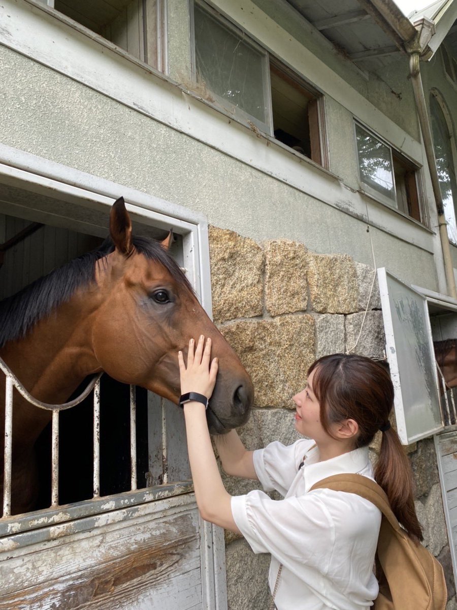 yuunashirakawa's tweet photo. 先日、TomorrowFarmさん(@tomorrow_farm )へ行ってきました✨
とても素敵なところでした☺️
普段レースで観ている競走馬たちが身近に感じられて、ドキドキが止まらなかった!!
貴重な経験、幸せな時間をありがとうございました💓
写真はまず、セイカメテオポリスと🐴
#TomorrowFarm #競馬 https://t.co/uuyeYC0IWD
