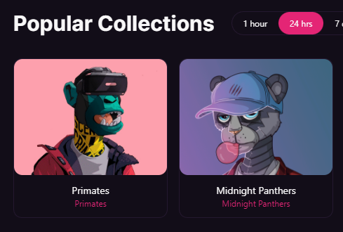 Midnight Panthers tweet media
