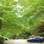 ツイートに含まれる画像